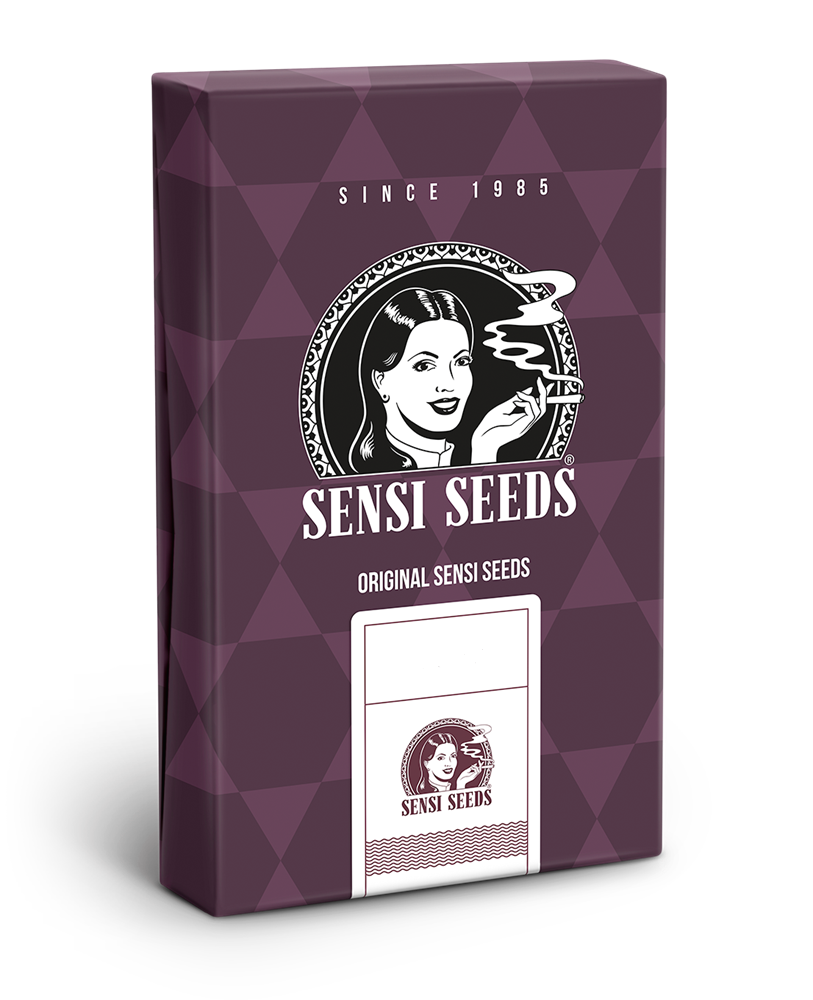 pack sensi seeds